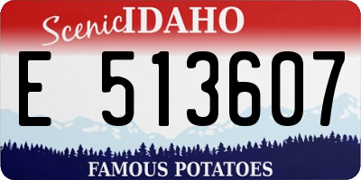 ID license plate E513607