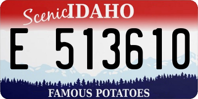 ID license plate E513610