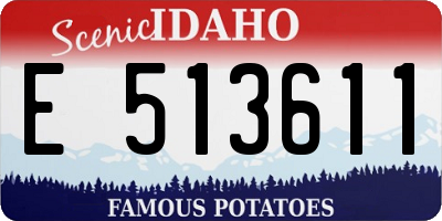 ID license plate E513611