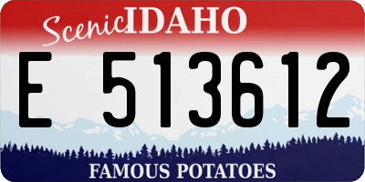 ID license plate E513612