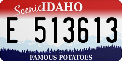 ID license plate E513613