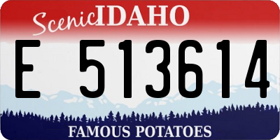 ID license plate E513614