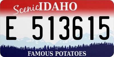 ID license plate E513615