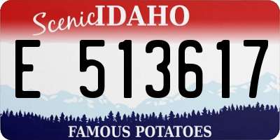ID license plate E513617