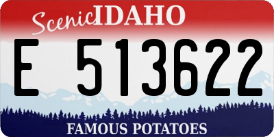 ID license plate E513622