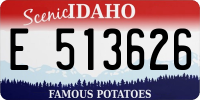 ID license plate E513626