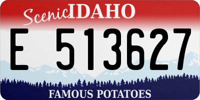 ID license plate E513627