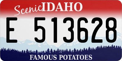 ID license plate E513628