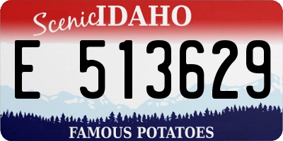 ID license plate E513629