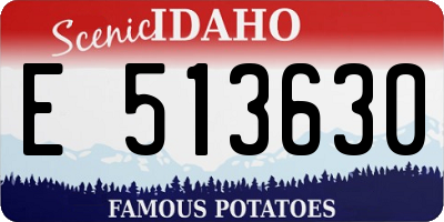 ID license plate E513630