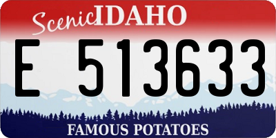 ID license plate E513633
