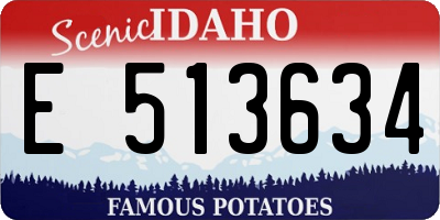 ID license plate E513634