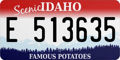 ID license plate E513635