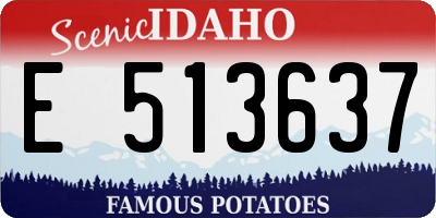 ID license plate E513637