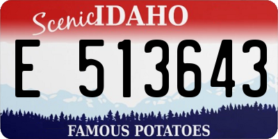 ID license plate E513643