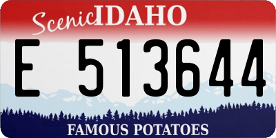ID license plate E513644