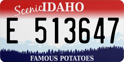 ID license plate E513647