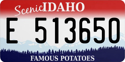 ID license plate E513650