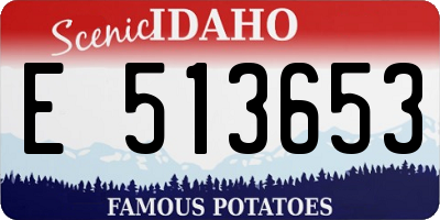 ID license plate E513653