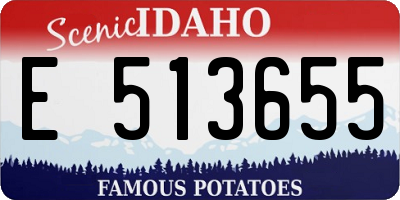 ID license plate E513655