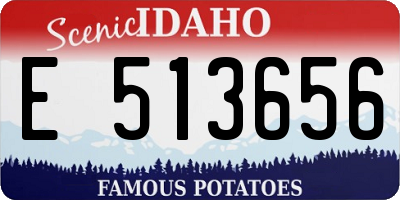 ID license plate E513656
