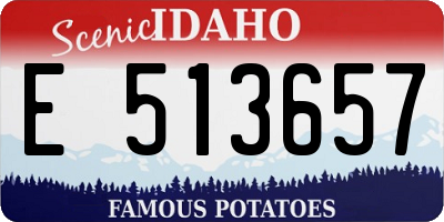 ID license plate E513657