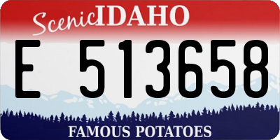 ID license plate E513658