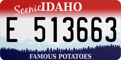 ID license plate E513663