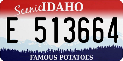 ID license plate E513664