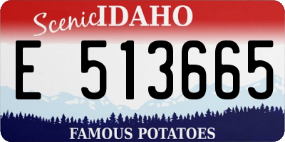 ID license plate E513665
