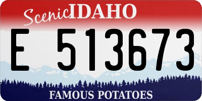 ID license plate E513673