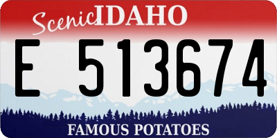 ID license plate E513674