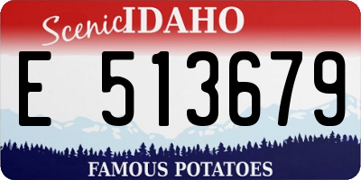 ID license plate E513679