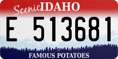 ID license plate E513681