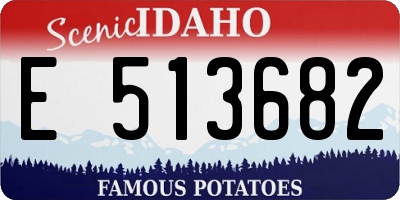 ID license plate E513682
