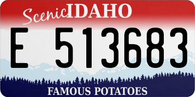 ID license plate E513683