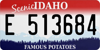 ID license plate E513684