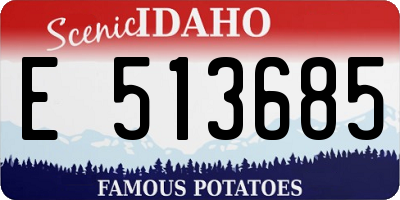 ID license plate E513685