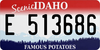 ID license plate E513686