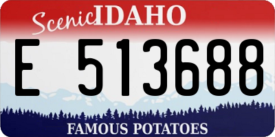ID license plate E513688