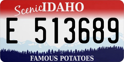 ID license plate E513689