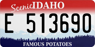 ID license plate E513690