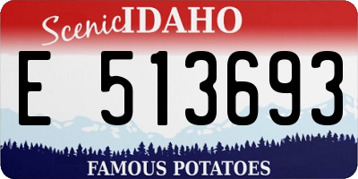 ID license plate E513693