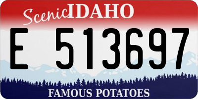 ID license plate E513697