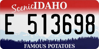 ID license plate E513698