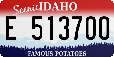 ID license plate E513700
