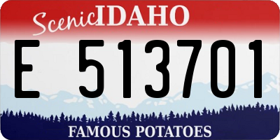 ID license plate E513701