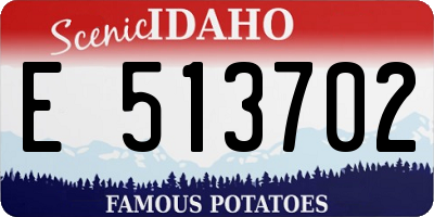 ID license plate E513702