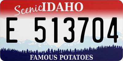 ID license plate E513704