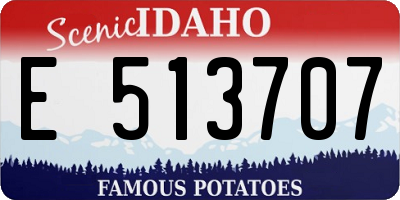 ID license plate E513707
